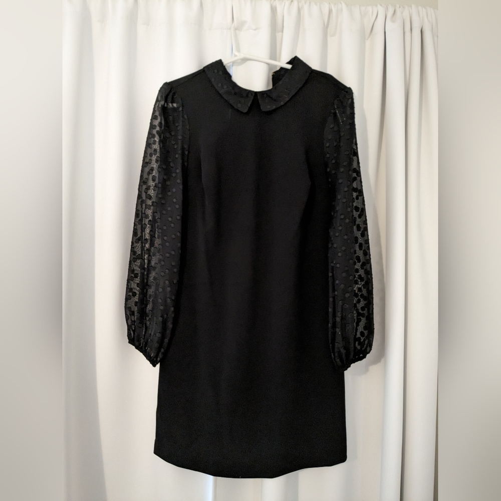 Black Tommy Hilfiger dress size 10 sheer sleeve peter pan collar